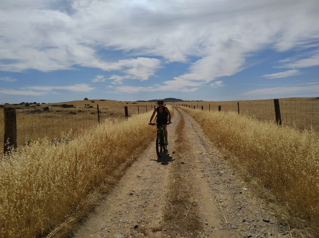 CSR Bike Adventure景点图片