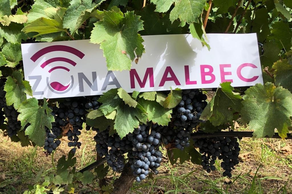 ZONA MALBEC-门多萨必去景点