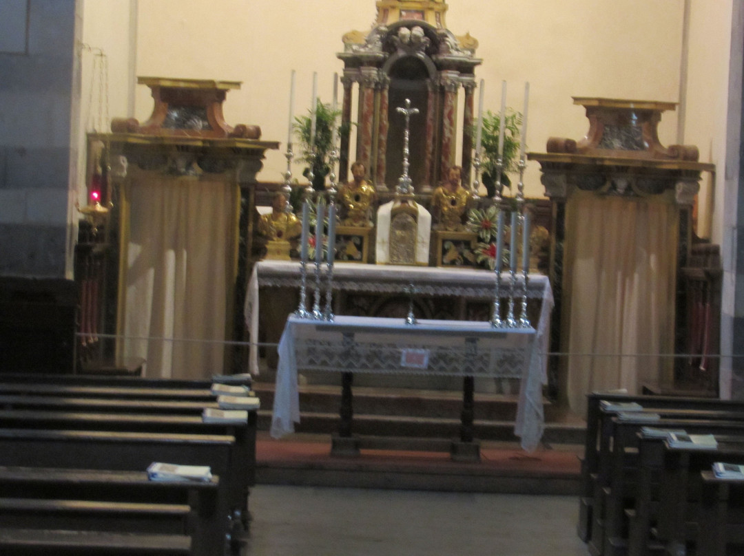 Chiesa di S. Francesco景点图片
