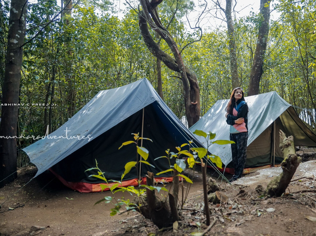Camp Tea Forest
