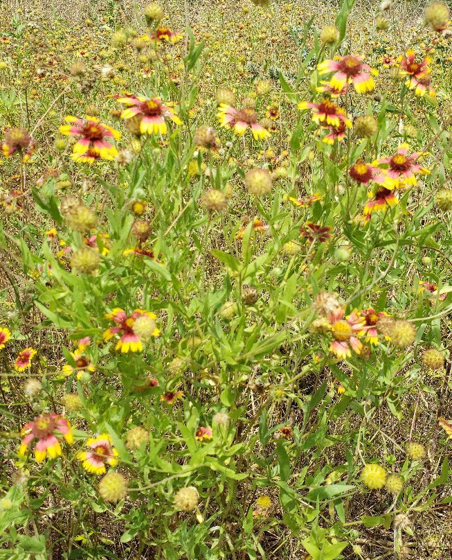 Crescent Bend Nature Park-Schertz必去景点
