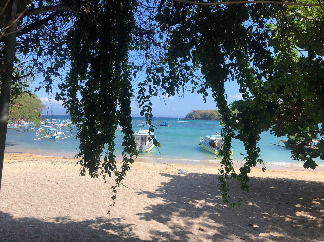 Ubud Tours Service-艾湄湾必去景点