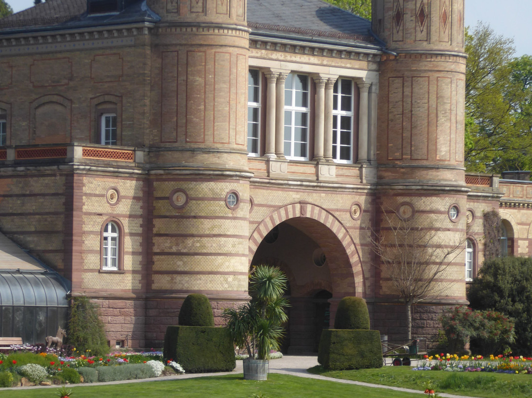 Schlossgarten景点图片