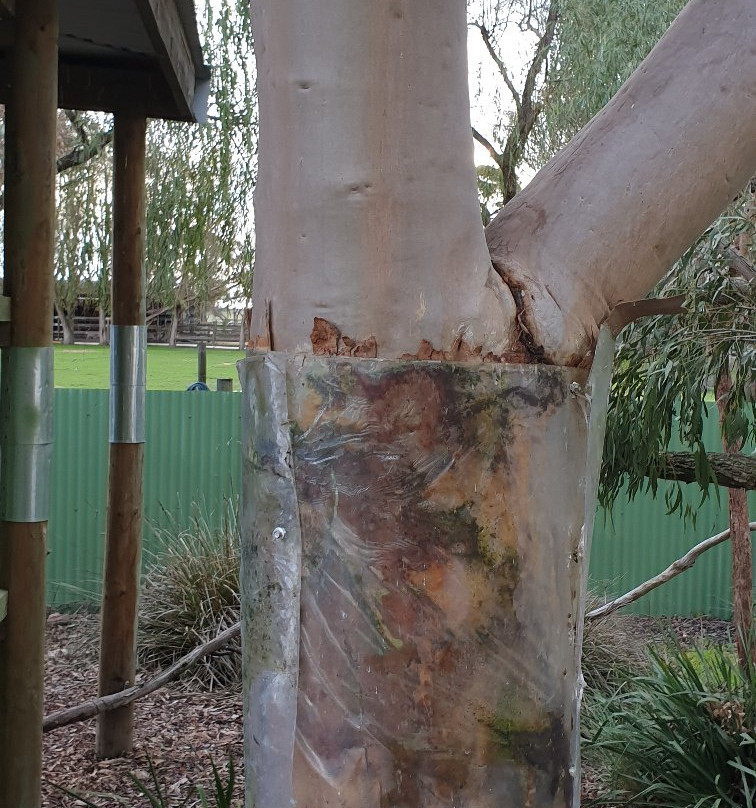 Warrook Farm-Monomeith必去景点