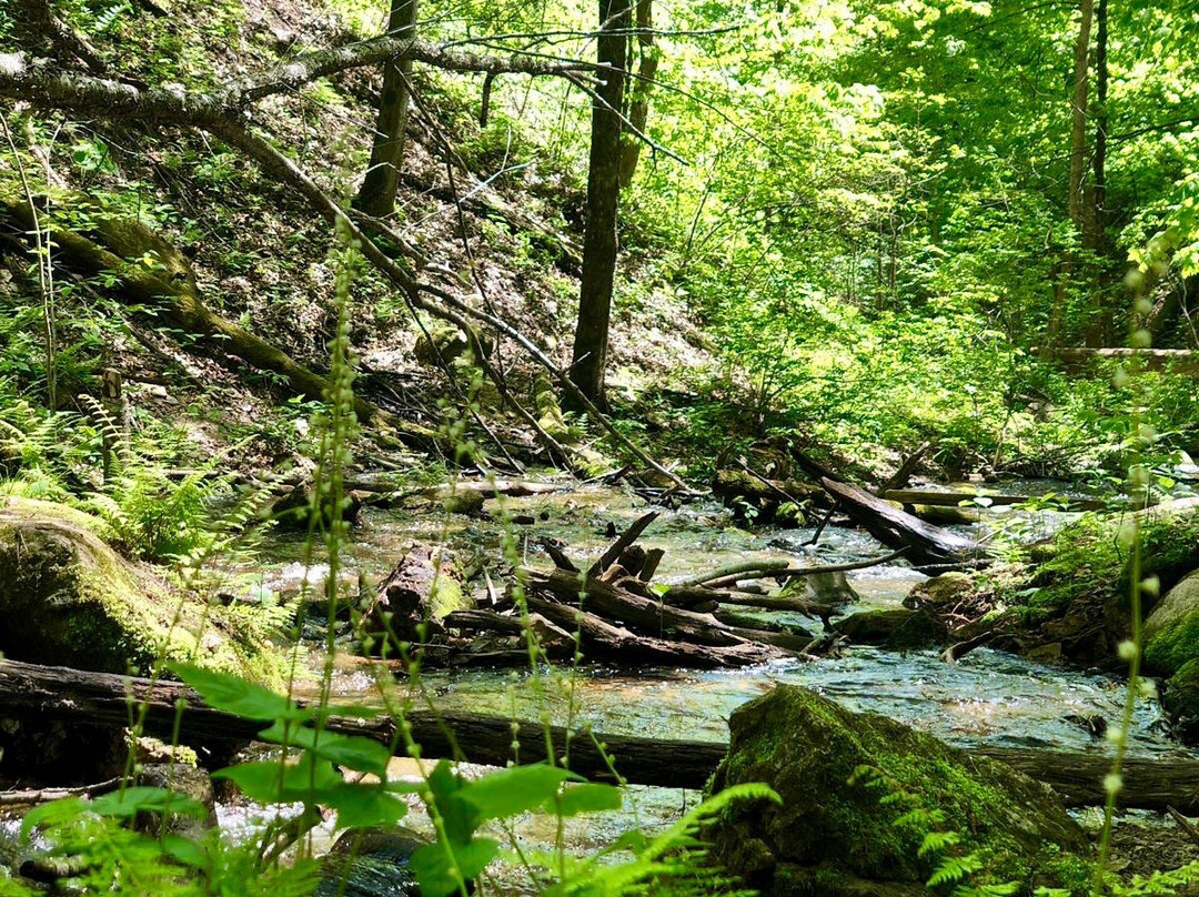 Brown's Creek Trail-斯蒂尔沃特必去景点