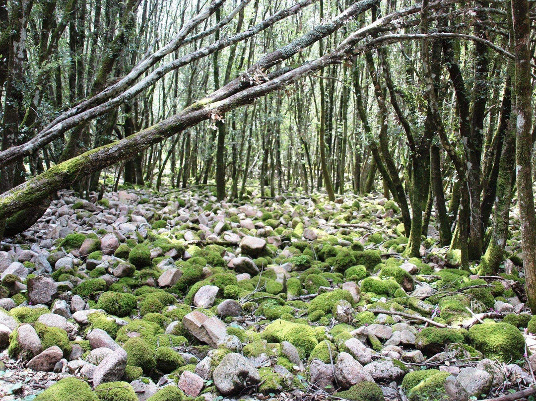Cascata di Muru Mannu-Gonnosfanadiga必去景点