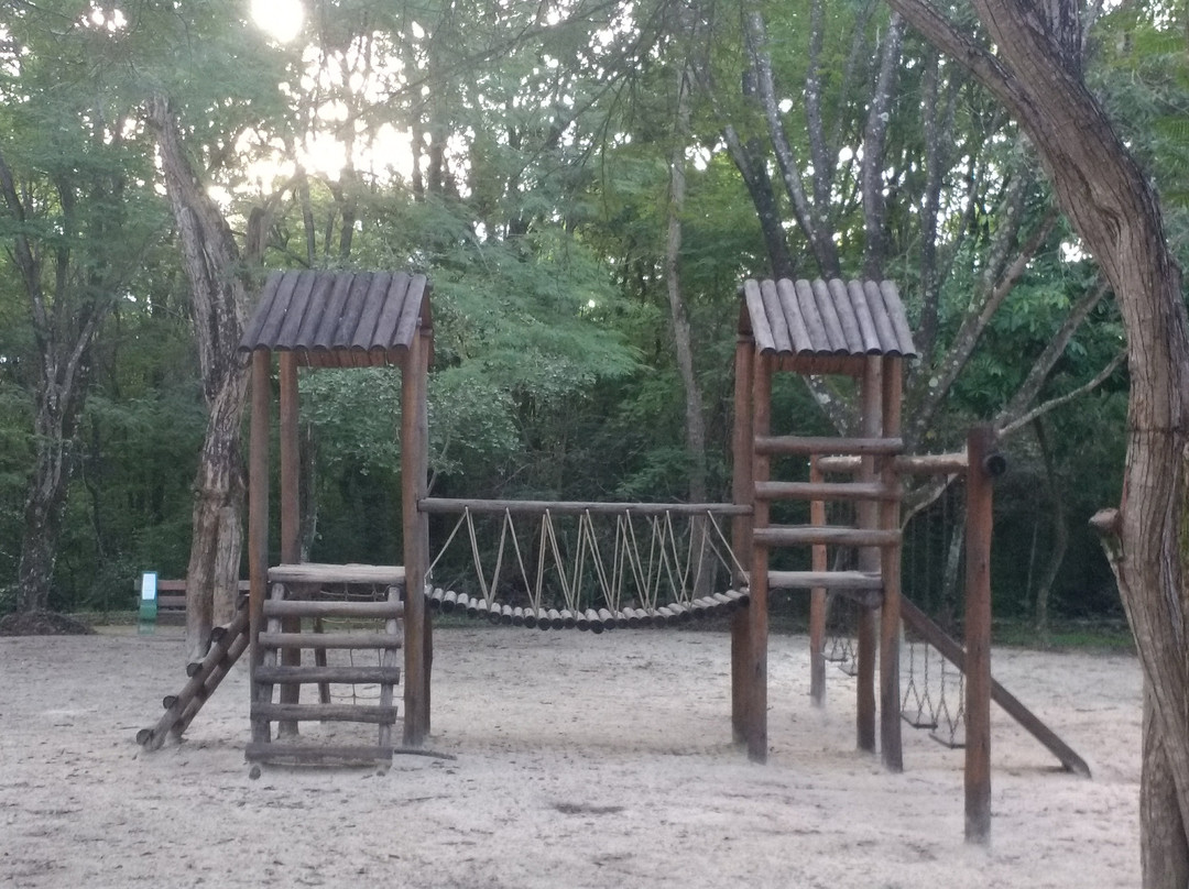 Parque Olhos D'agua-巴西利亚必去景点