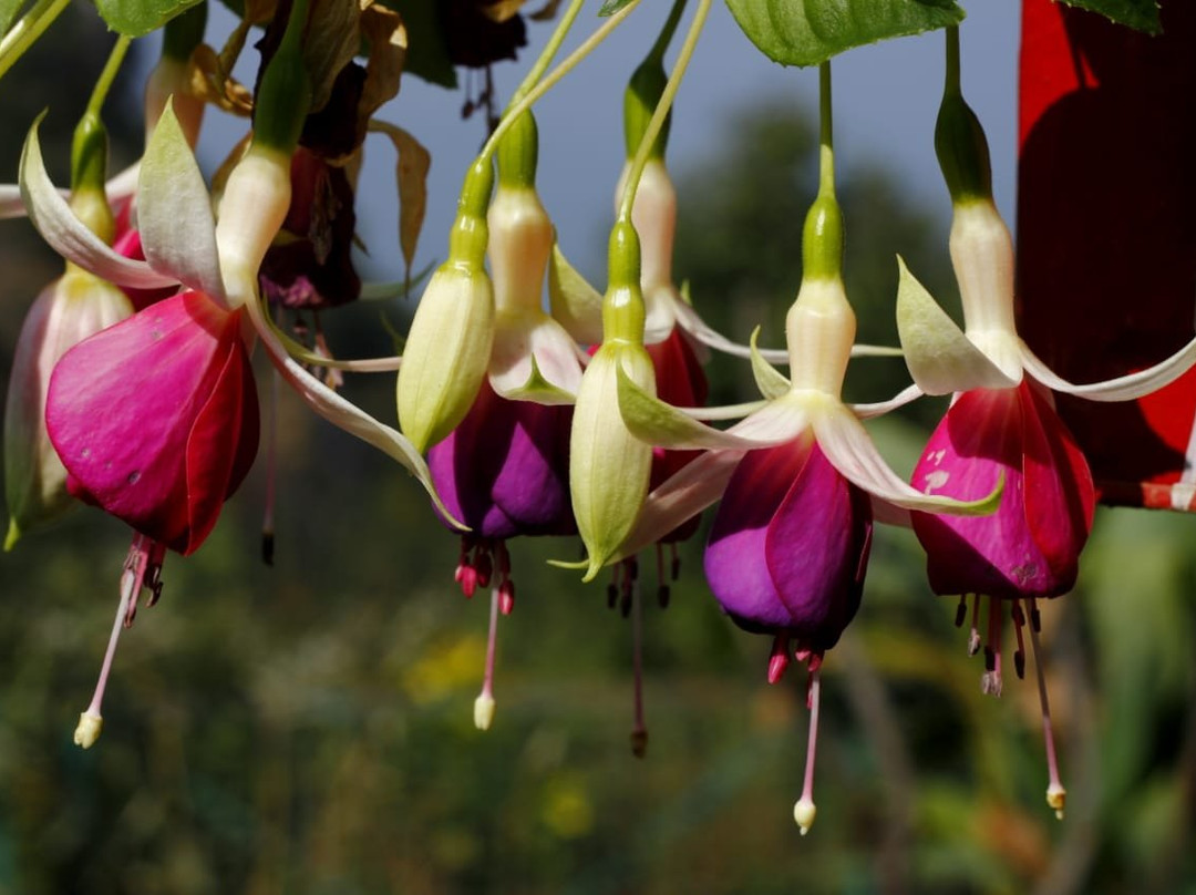 Parwati Resort主图