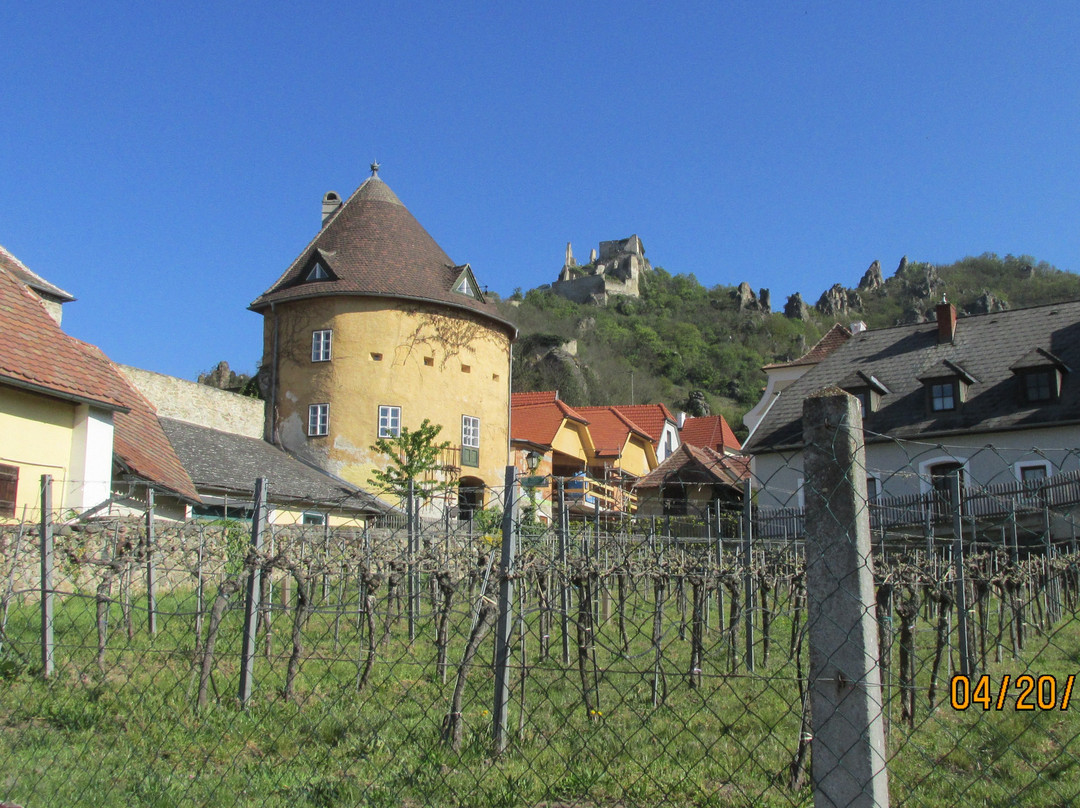 Durnstein Castle景点图片
