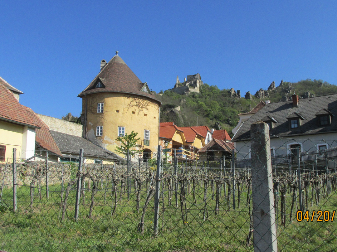 都恩石旅游景点-Durnstein Castle