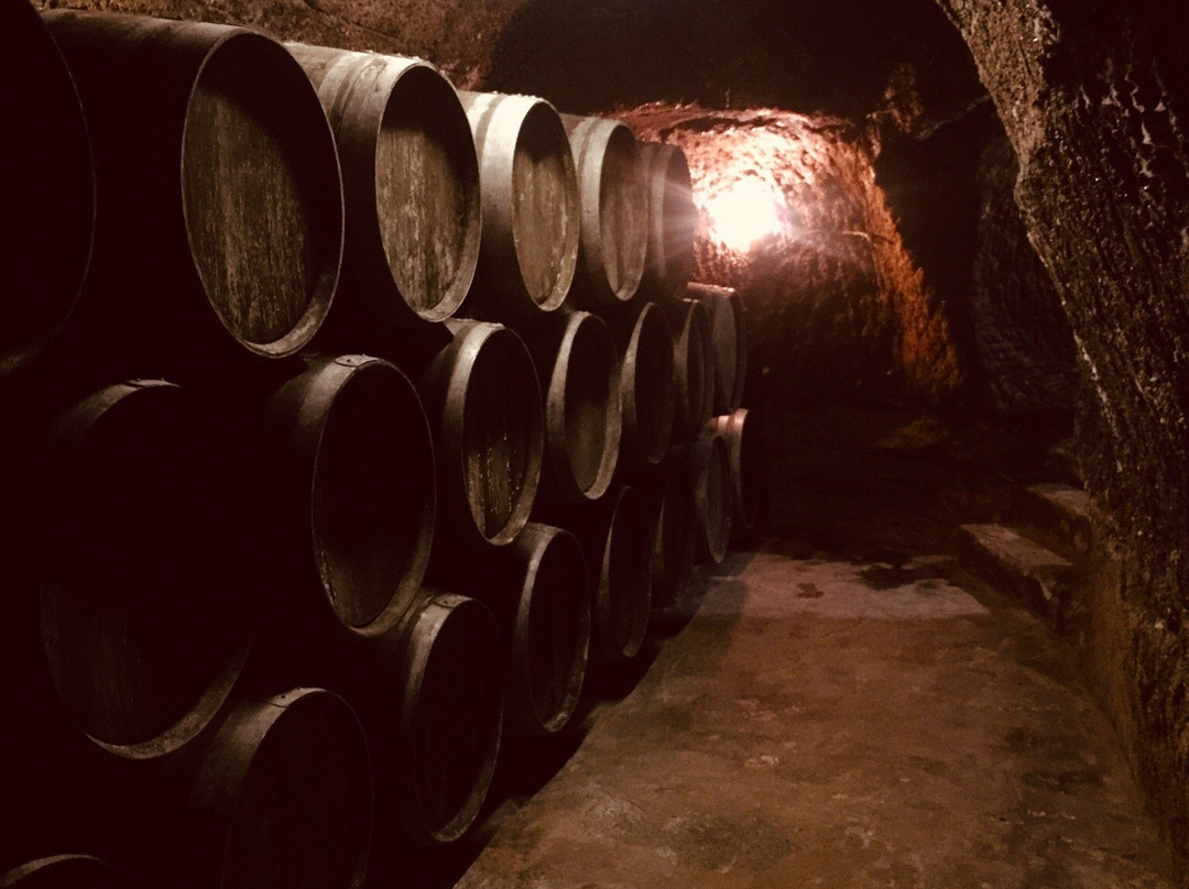 Rioja Wine Tours景点图片
