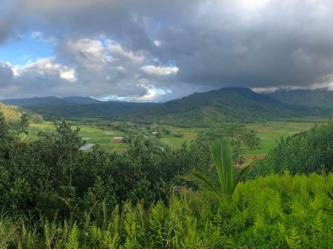 Hanalei Valley Lookout景点图片