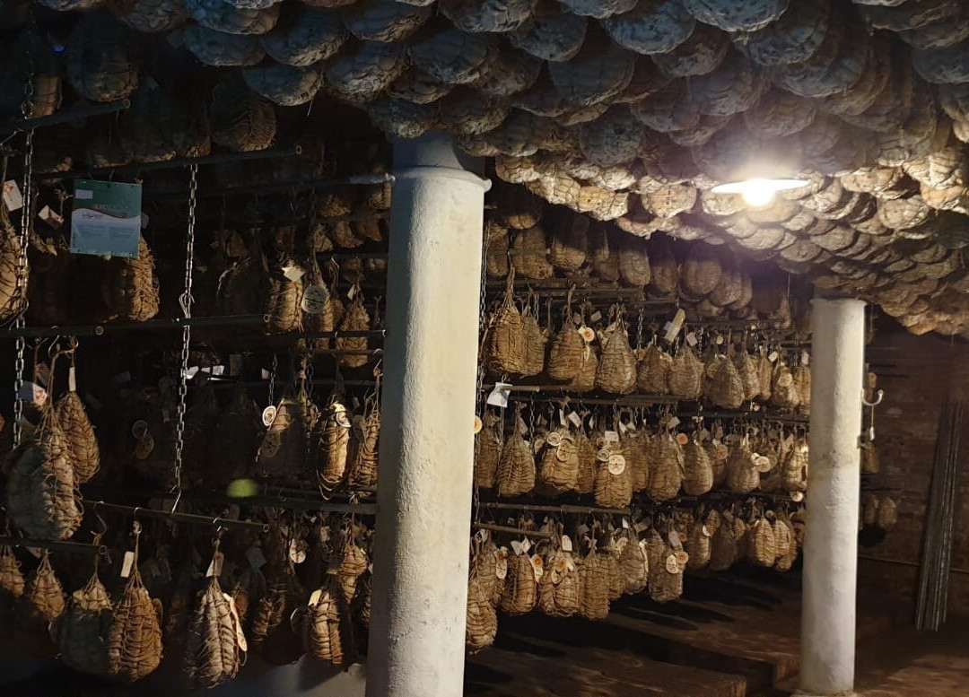 Azienda Agricola Bre del Gallo景点图片