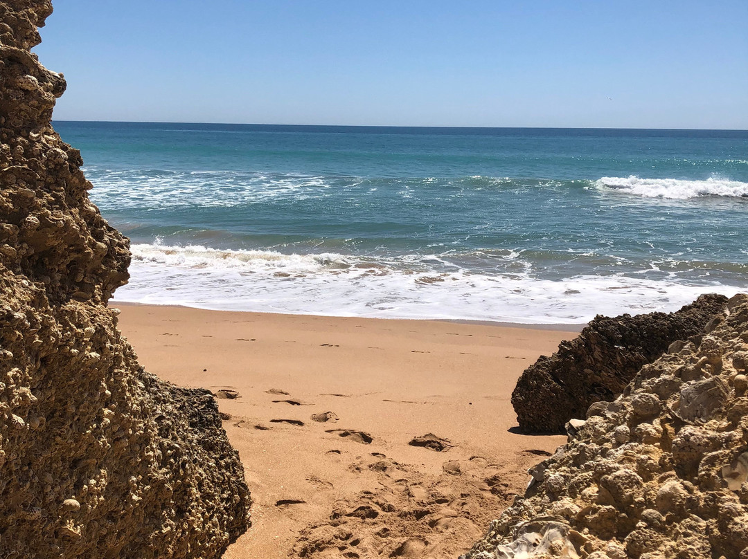 Playa de Roche景点图片