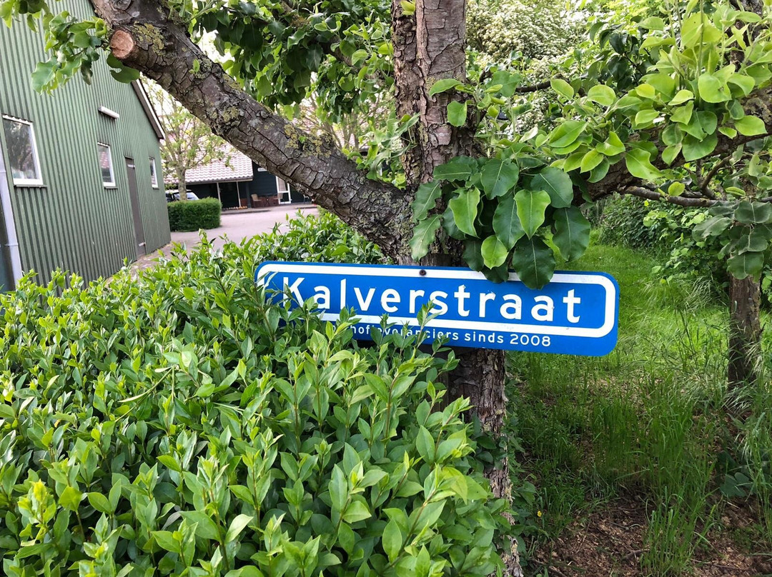 Boerderij de Verwondering主图