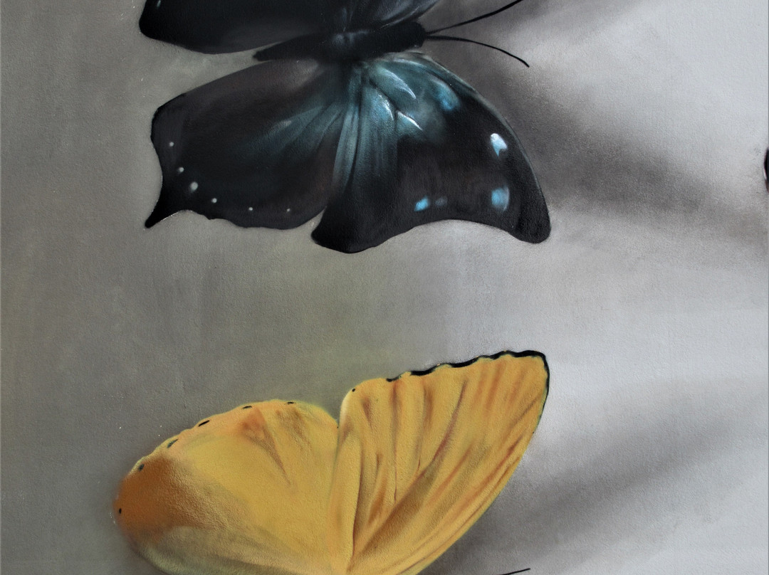Fresque "Collection de papillons"-蒂永维尔必去景点