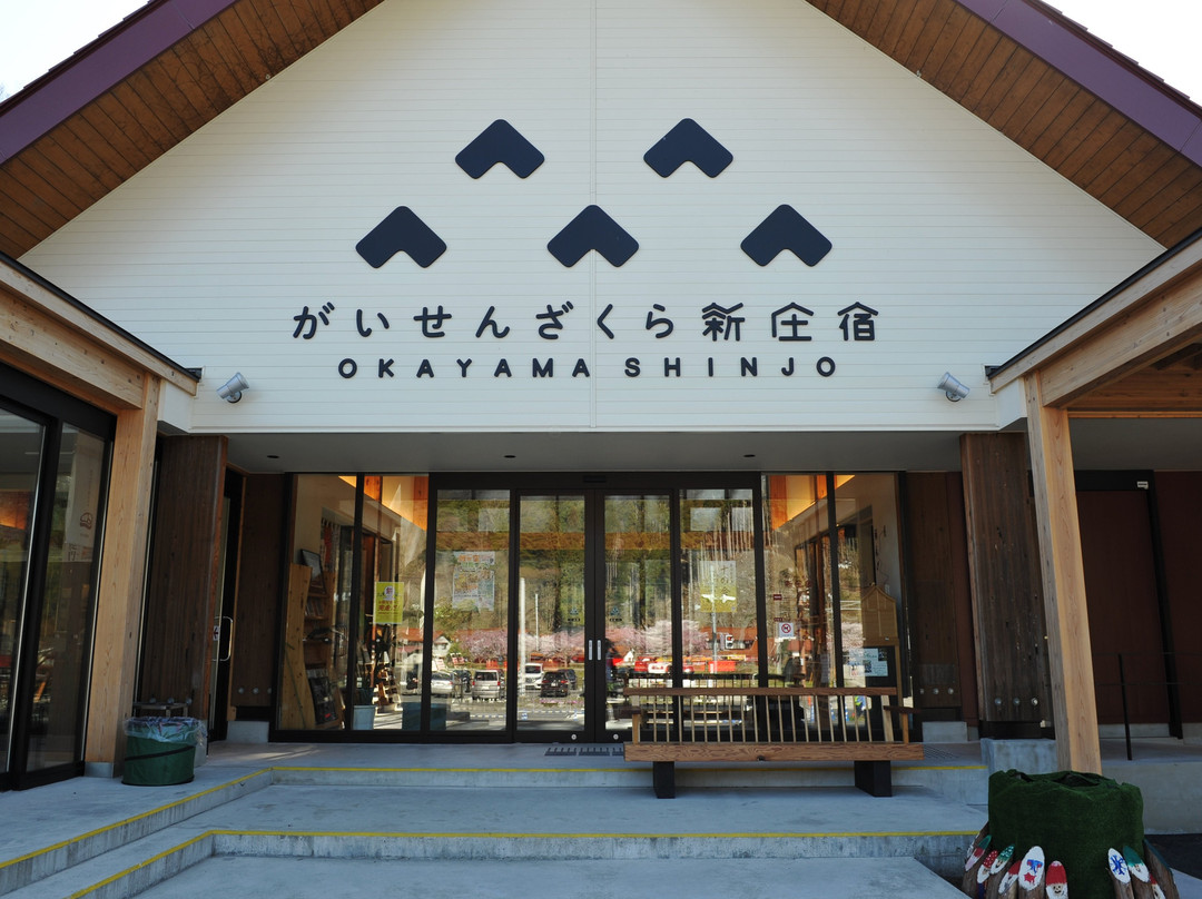 Marchen-no Sato Shinjo Michi-no-Eki-新庄村必去景点
