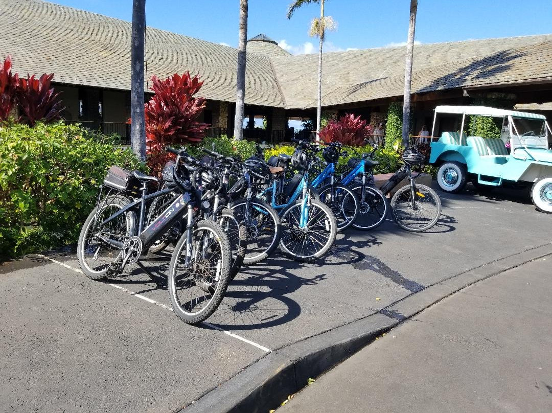 Maui Electric Bike Rental-基黑必去景点