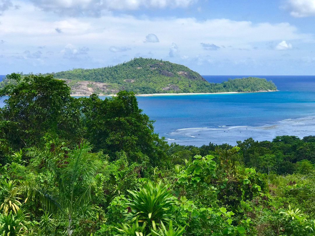 Morne Seychellos National Park景点图片