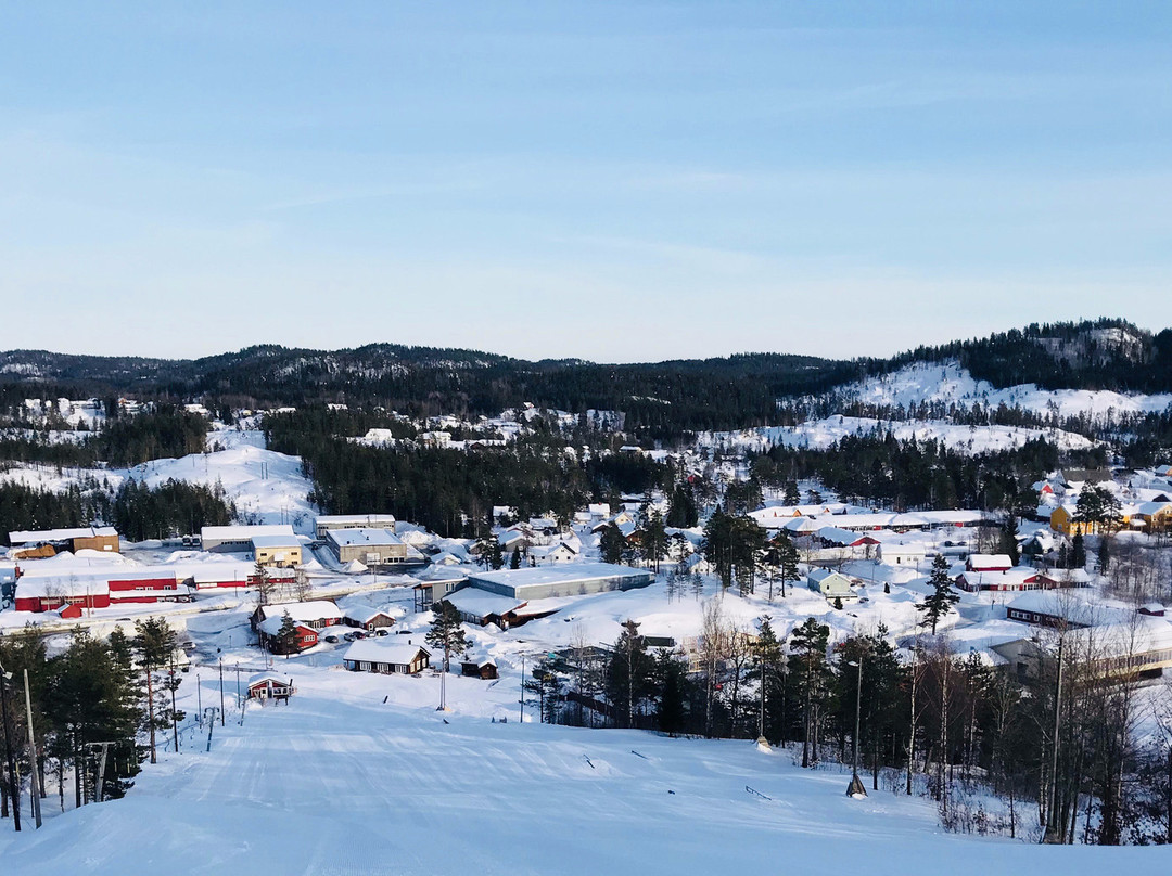 Vegarshei Ski og Aktivitetssenter-Vegarshei Municipality必去景点