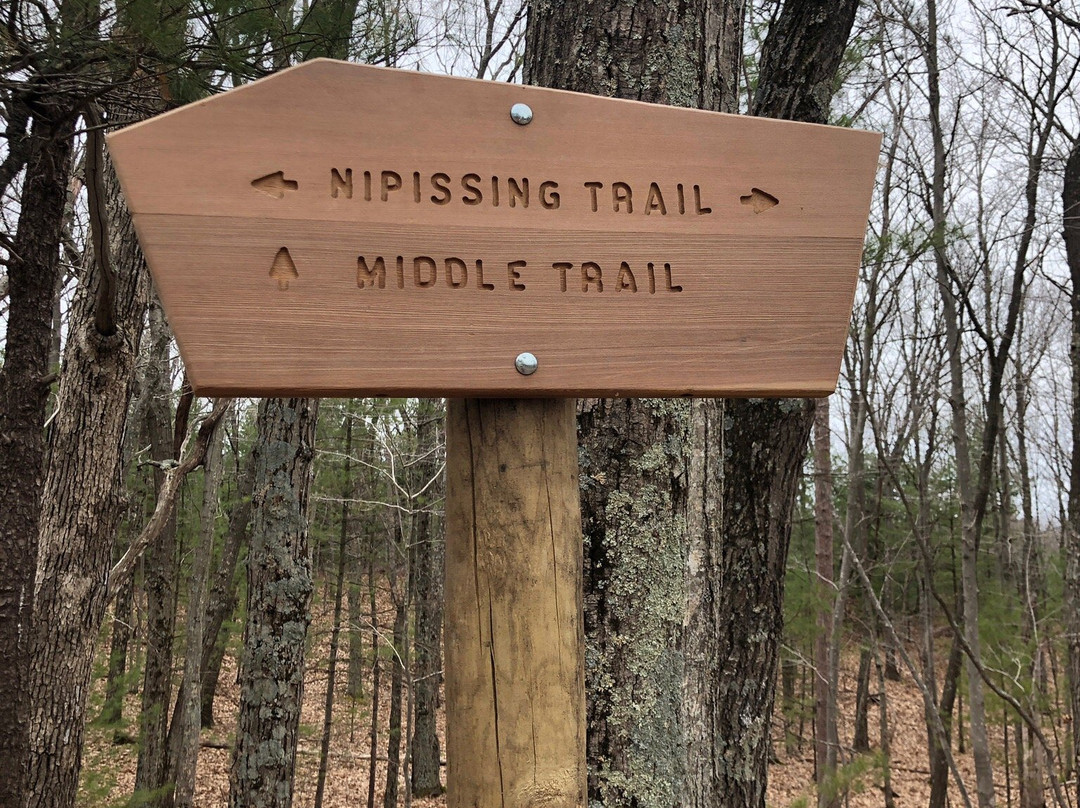 Nordhouse Dunes Wilderness - Manistee National Forest-Free Soil必去景点