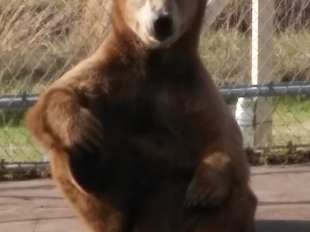 Elmira's Wildlife Sanctuary-Wimauma必去景点