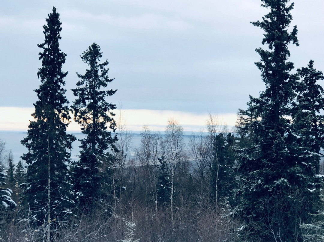 A Goldenview Bed and Breakfast主图