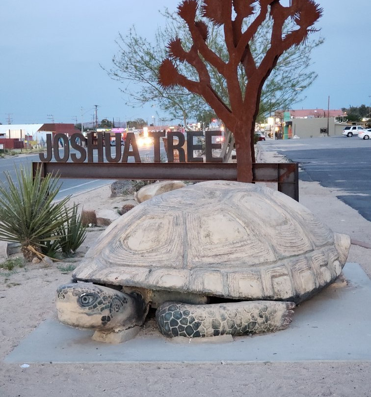 Murtle the Turtle-约书亚树必去景点