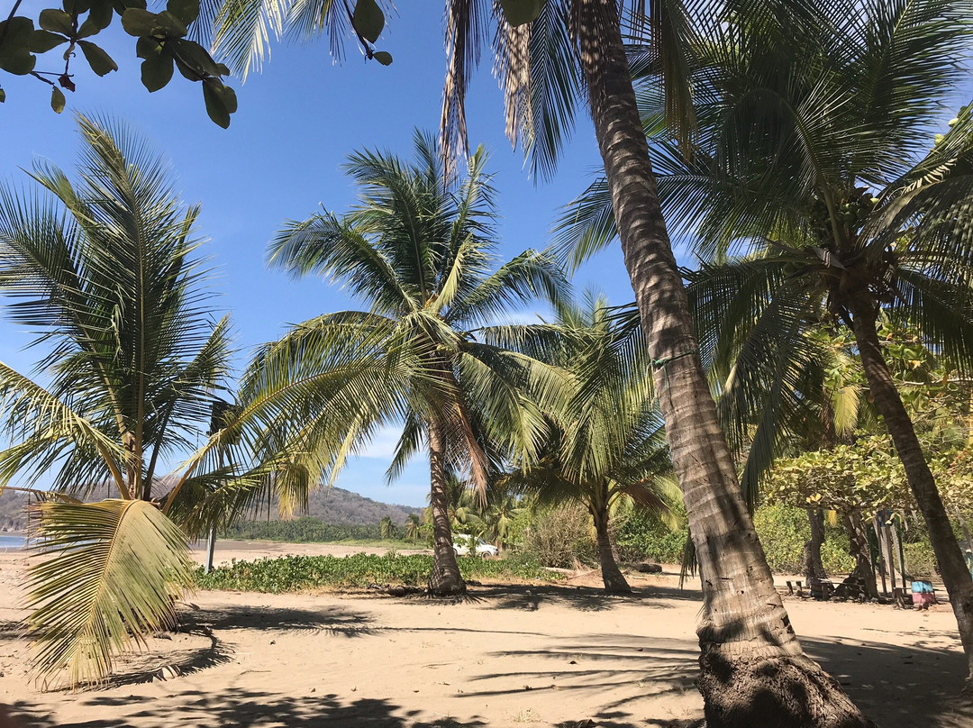 Playa Órganos景点图片