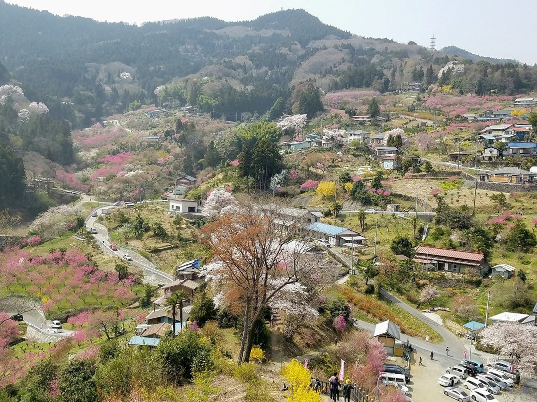 Ouchizawa Hanamomonosato景点图片