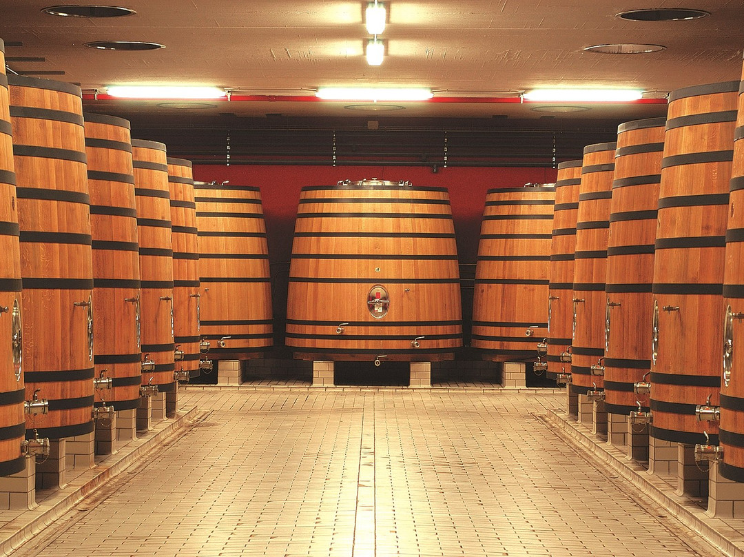 Bodegas Marco Real景点图片