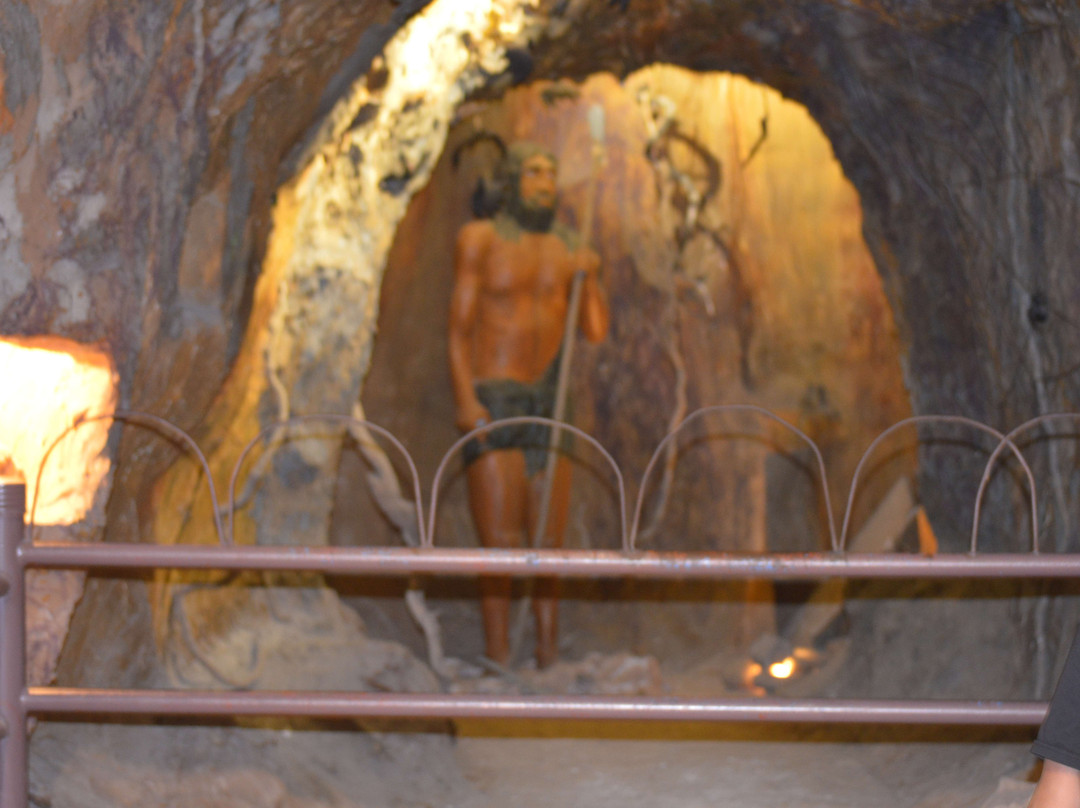 Pakistan Museum of Natural History-伊斯兰堡必去景点