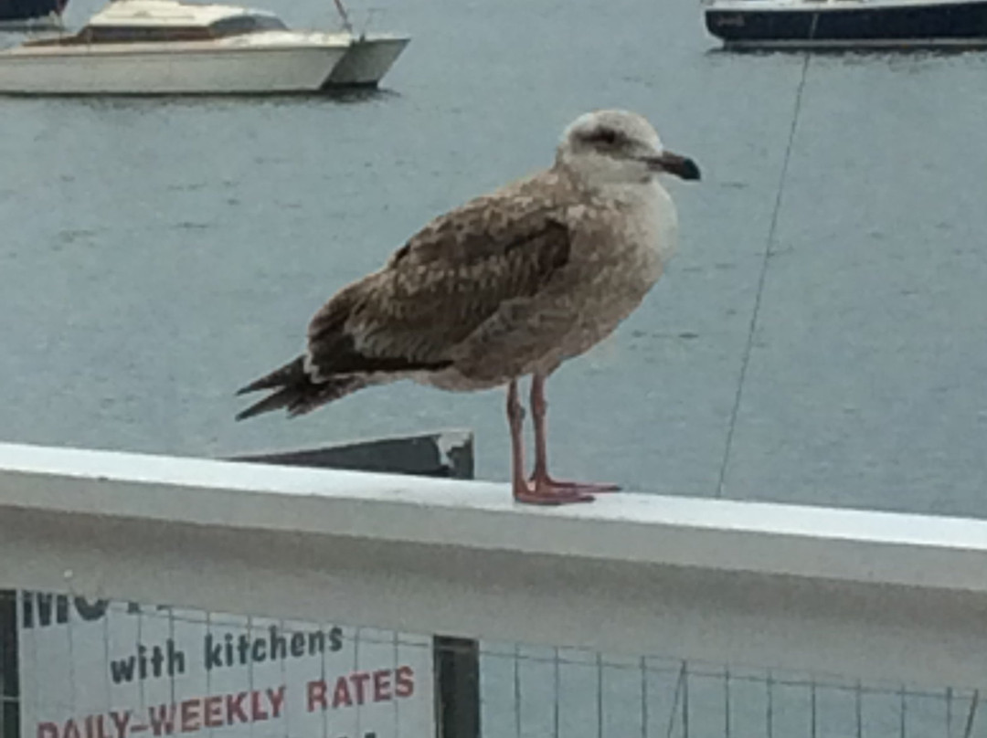 Gray's Inn and Gallery主图