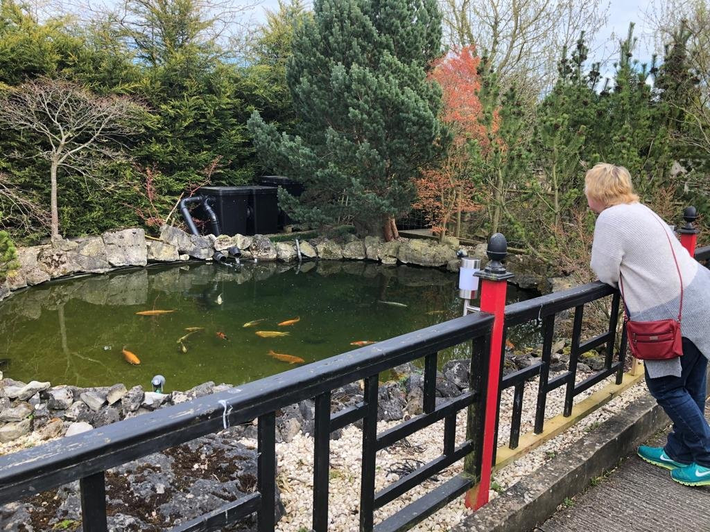 Paddock Farm Nursery & Water Gardens-达灵顿必去景点