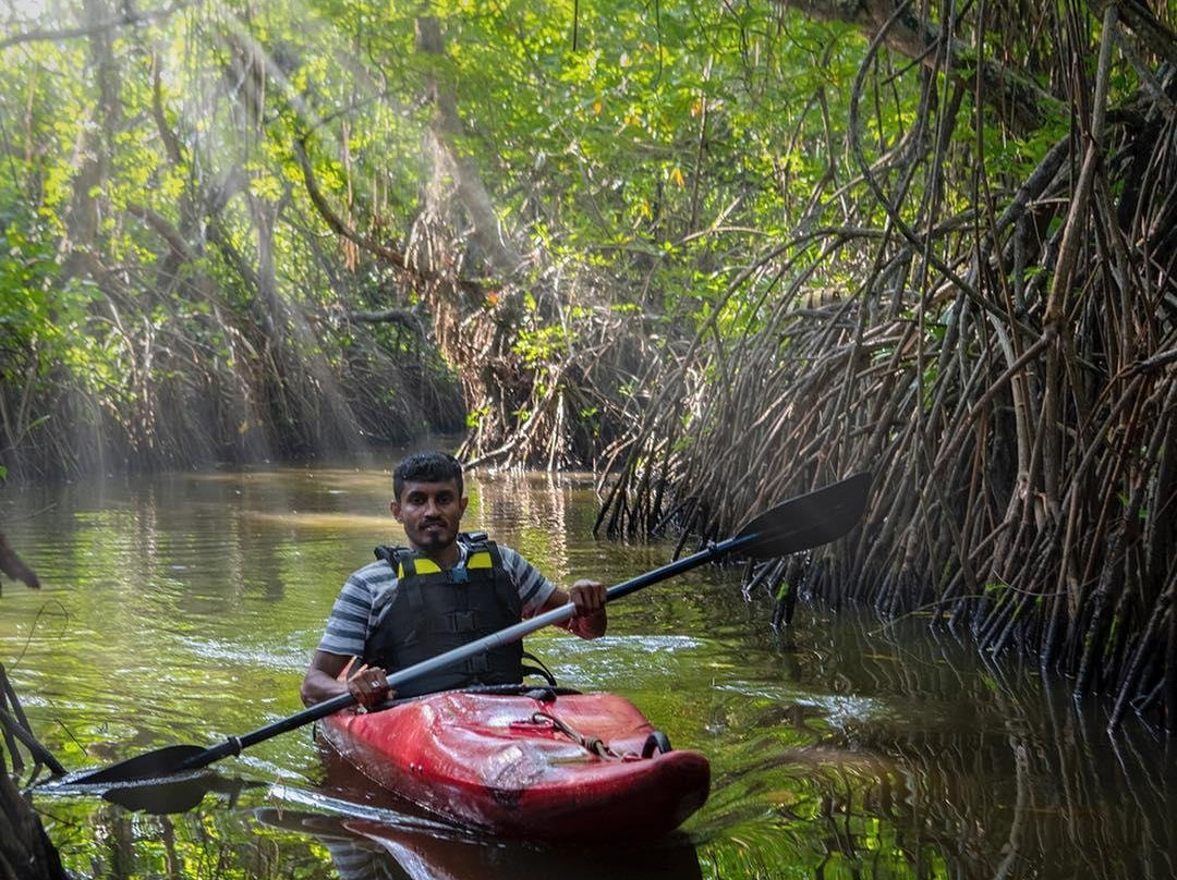 Serendib Adventures - Madu River-巴拉碧提雅必去景点