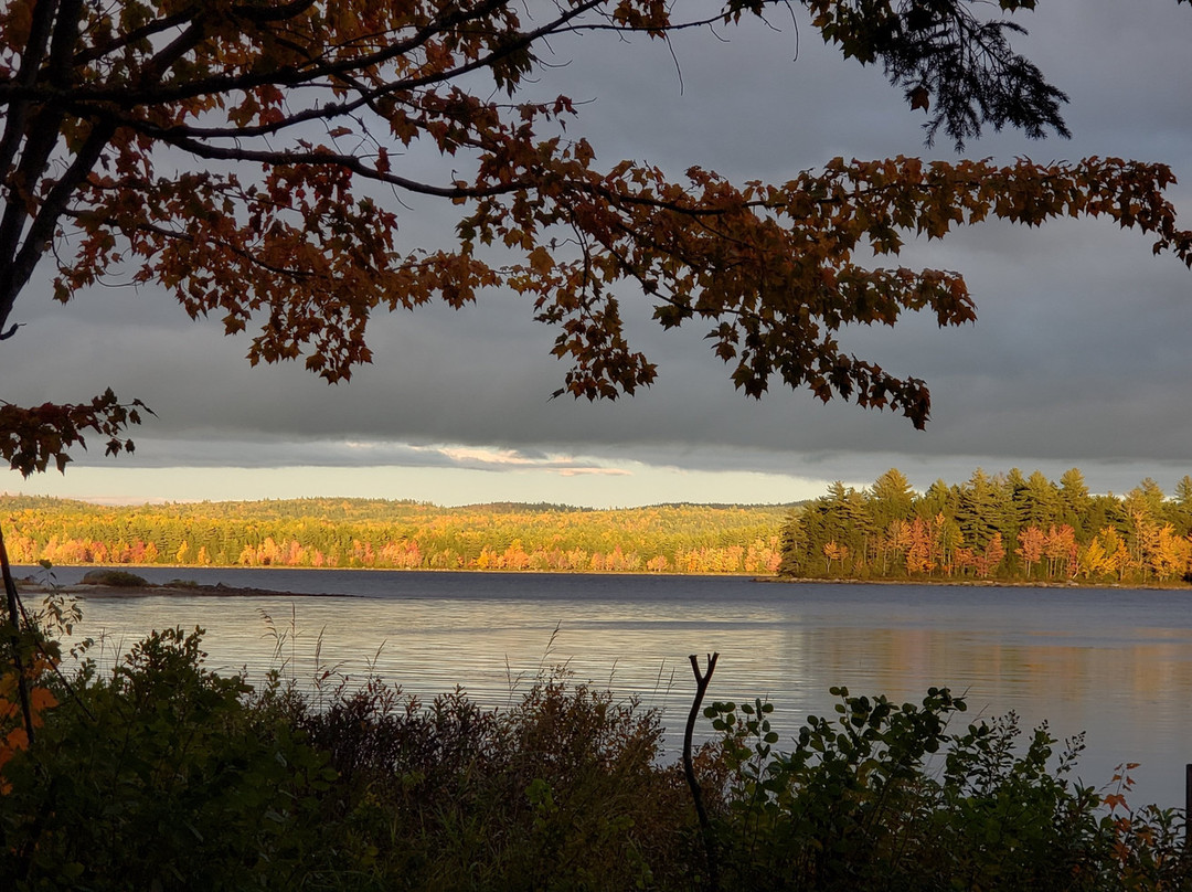 Wild Fox Cabins & Campground主图