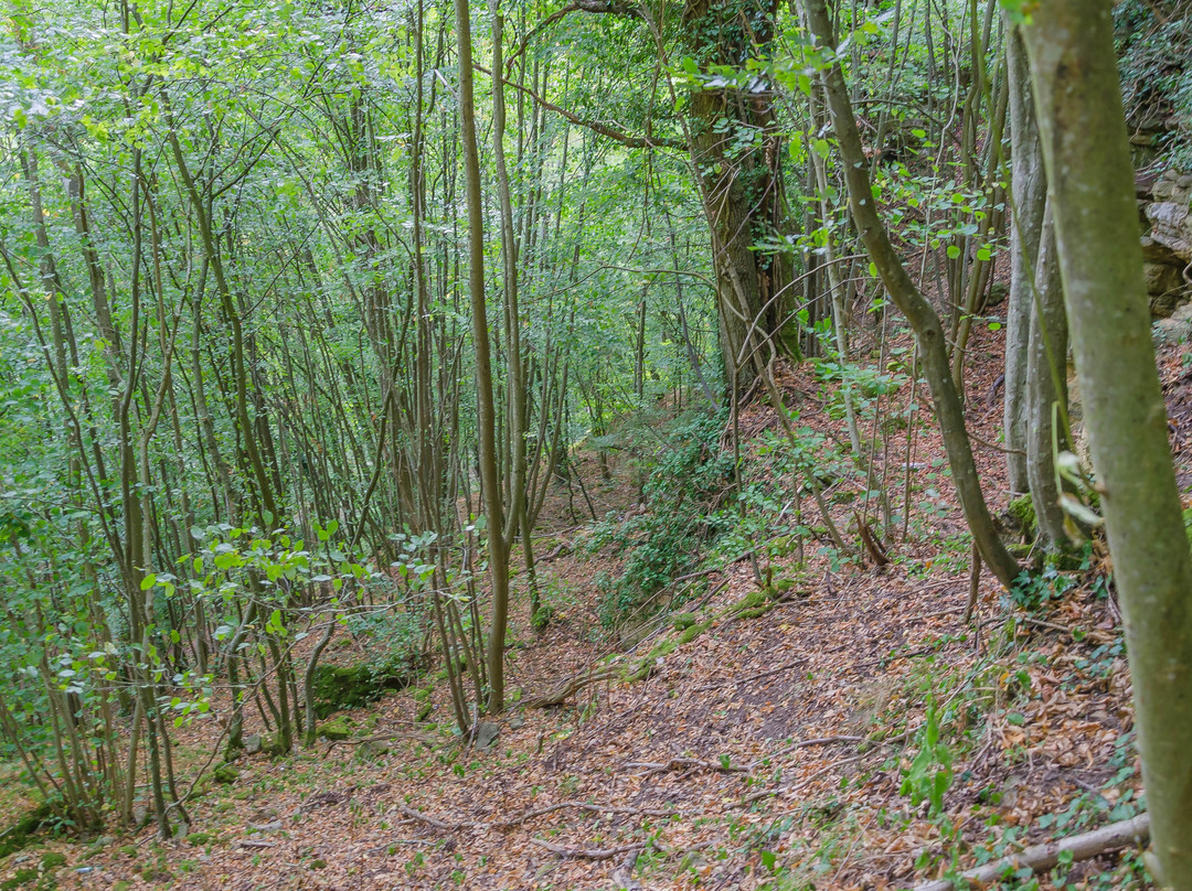 Felsenweg 1-Weilerbach必去景点