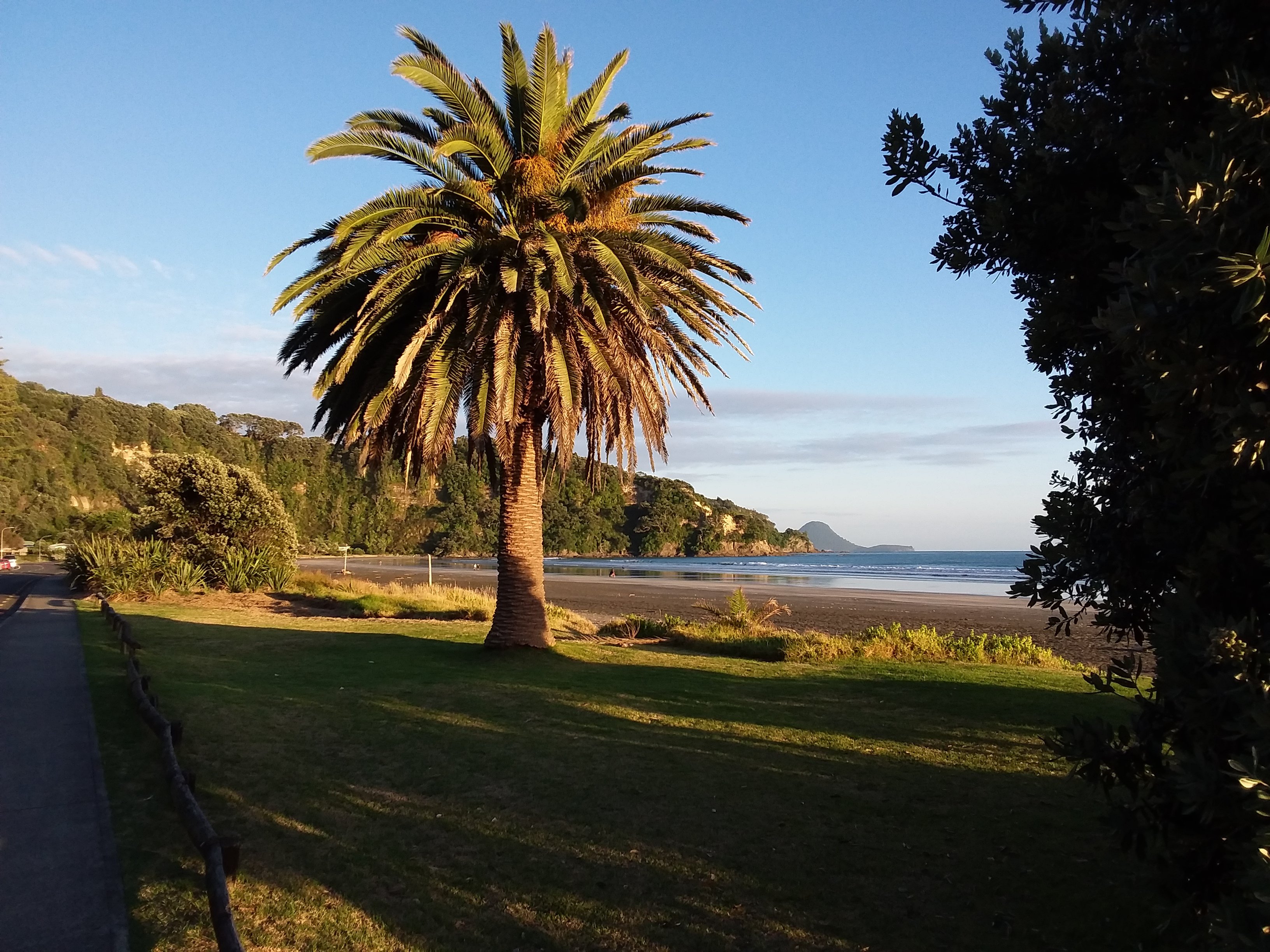 Beachfront Bliss Bed and Breakfast-官方