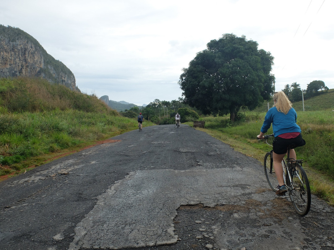 Vinales Roots景点图片