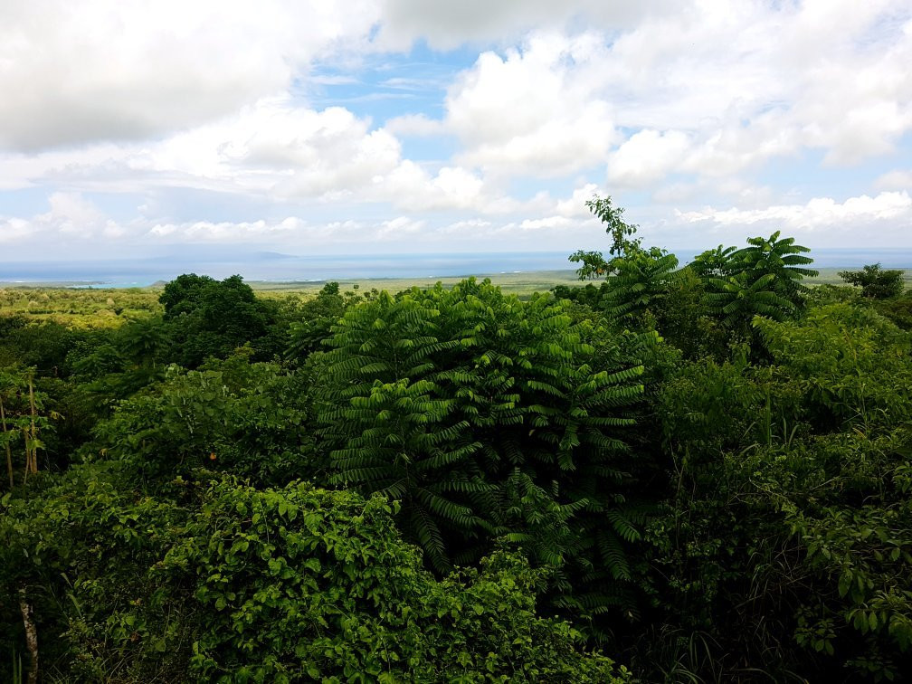 Highland View Galapagos景点图片