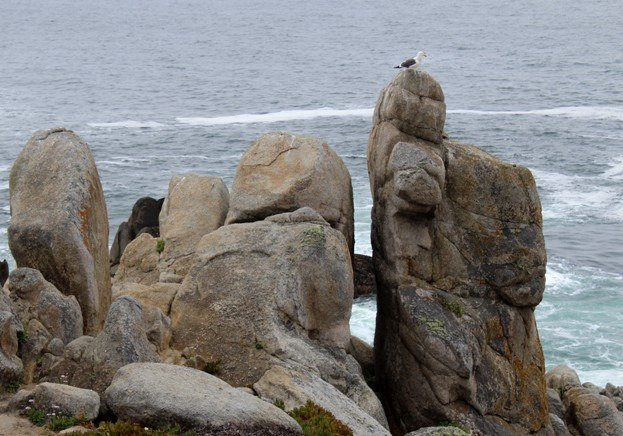 Pescadero Point景点图片