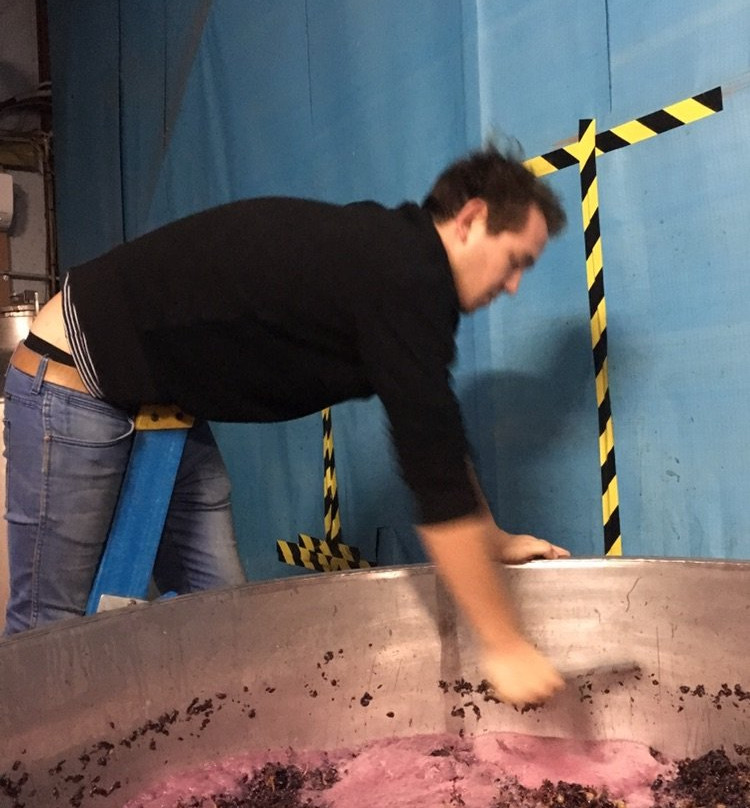 Cope-Williams Winery-Romsey必去景点