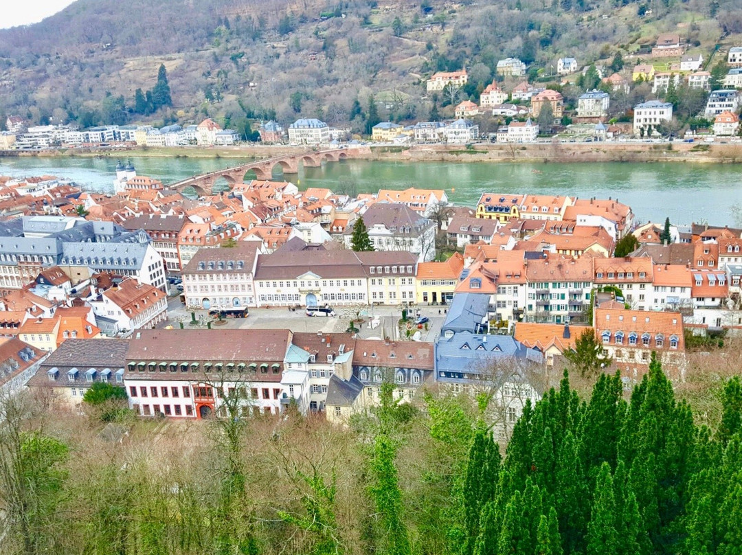 Neckar River景点图片