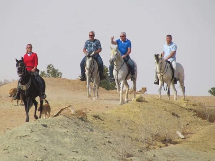 HorseTrips Hurghada-赫尔格达必去景点