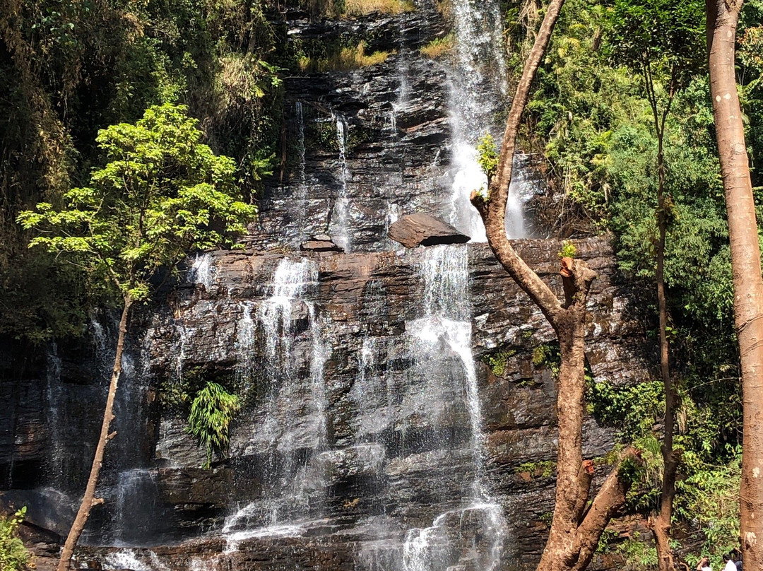 Chikkamagaluru District旅游攻略图片