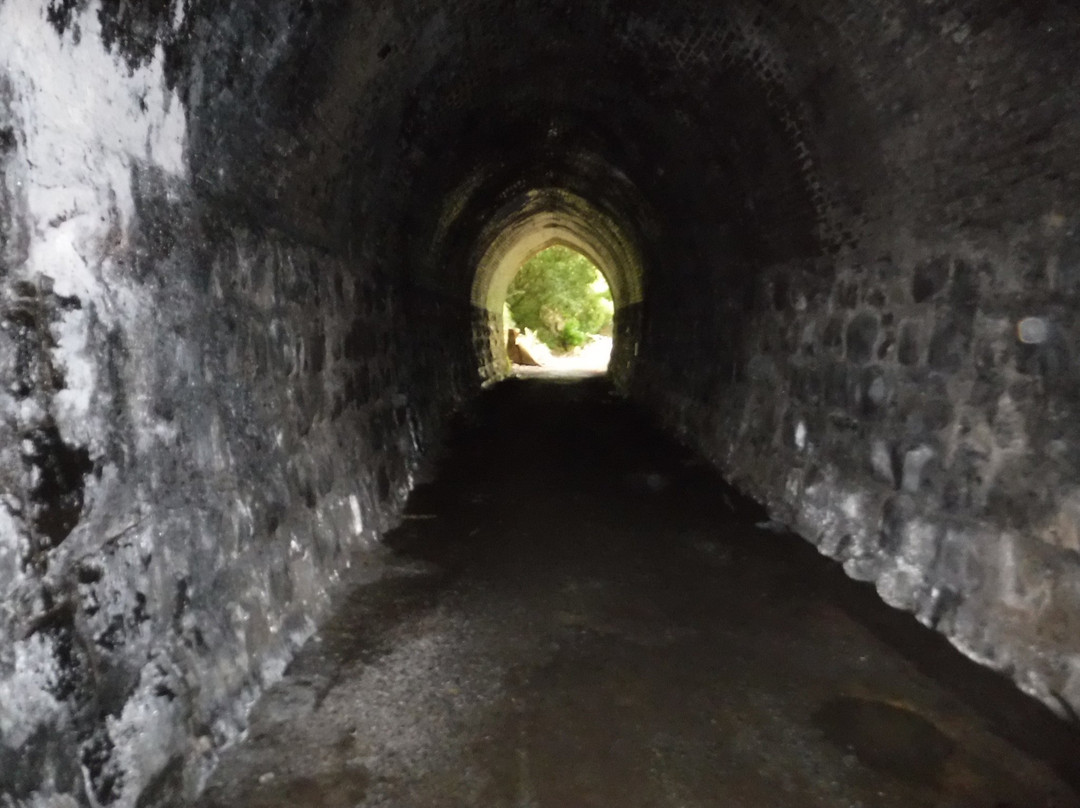 Tunnel Hill景点图片