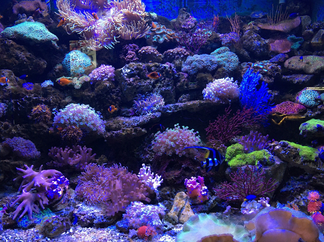 左海公园景点图片