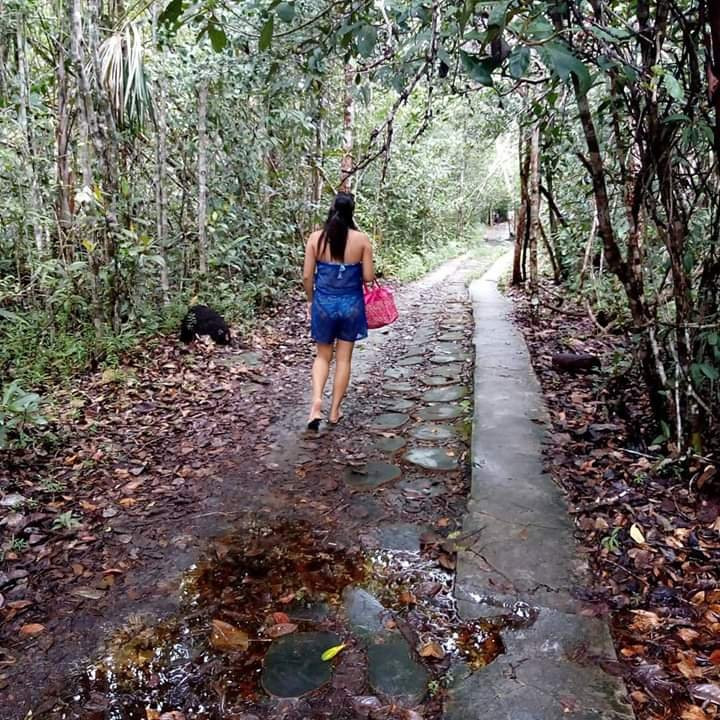 Cachoeira das Orquideas-Presidente Figueiredo必去景点