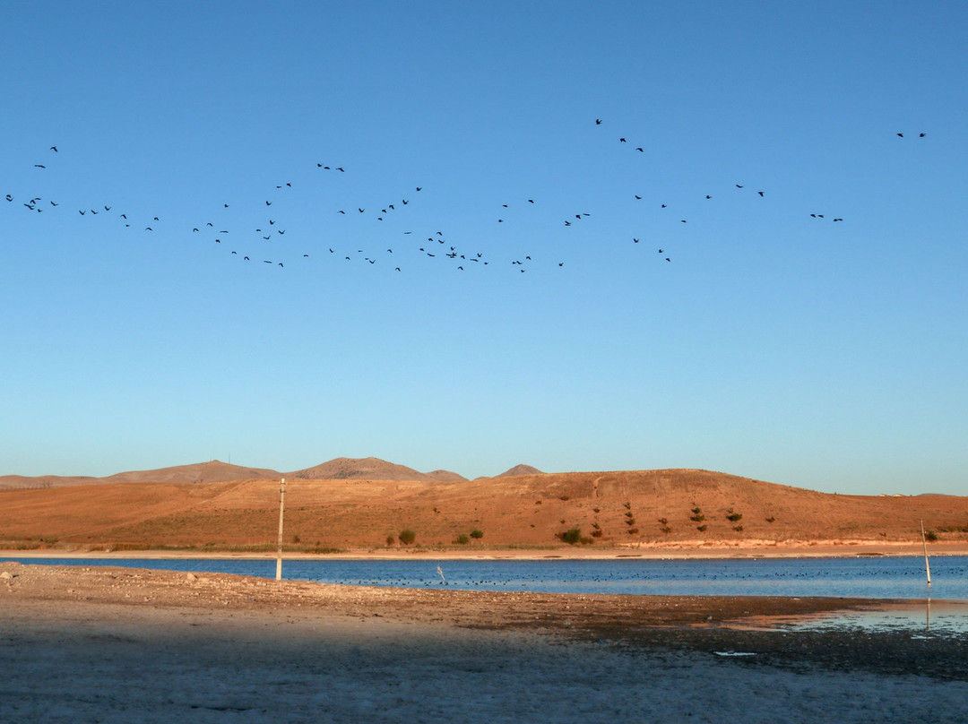 Savcılı Plajı景点图片