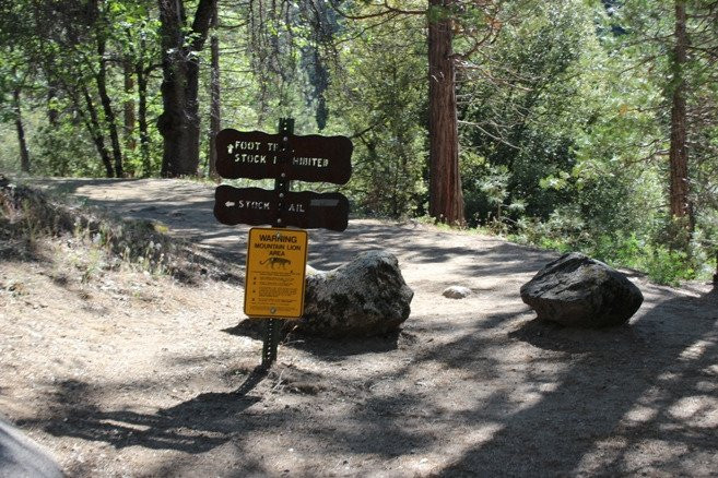 Lower Chilnualna Falls Trail-马里波萨必去景点